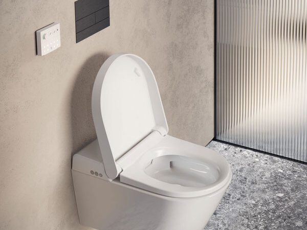 Toilets Seats Flushes  